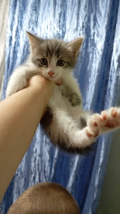Заботливые хозяева