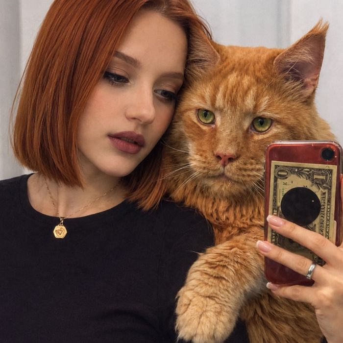 Передержка домашних животных