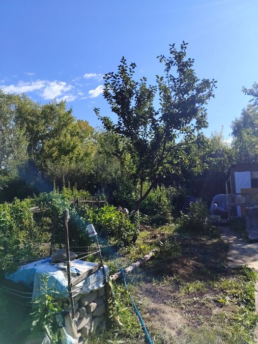 Дача ромашка продам