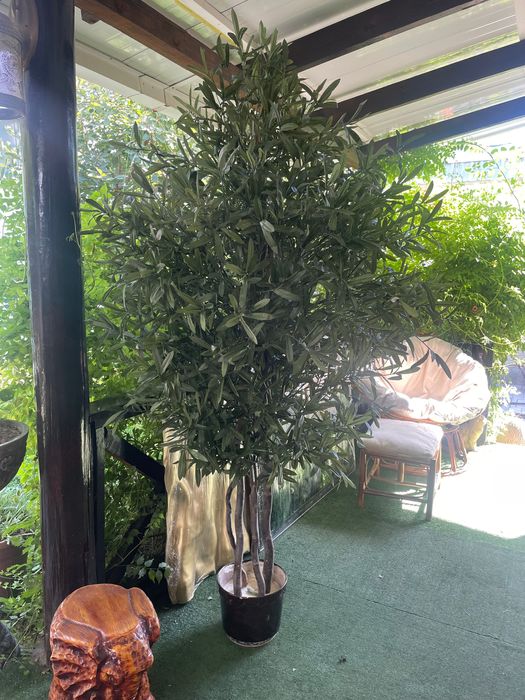 искусственные деревья в наличии