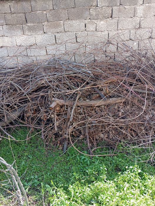 Отдам даром дрова