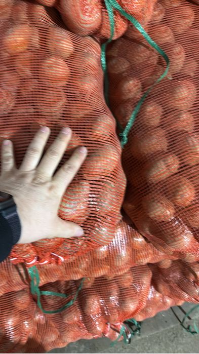 Продам картошку сорт гала