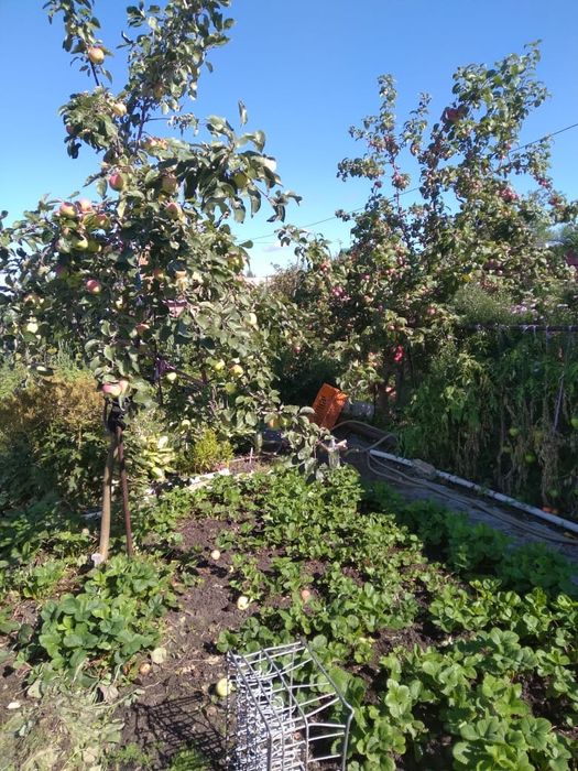 Продам дачу в сад.общ. "Энергетик"