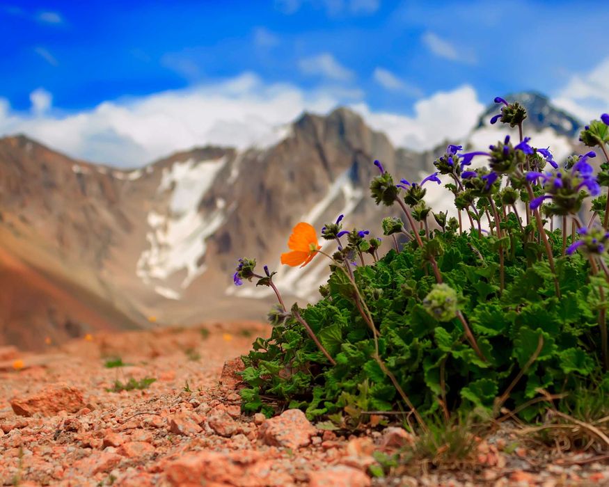 Продам фотоаппарат CANON 600D