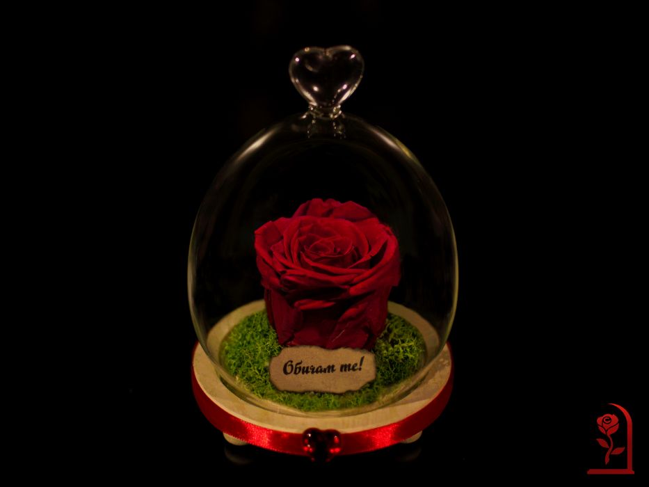 ЕСТЕСТВЕНА Вечна Роза в Стъкленица / Подарък за Коледа за Жена