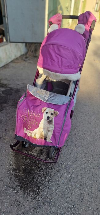 Санки детские красивые