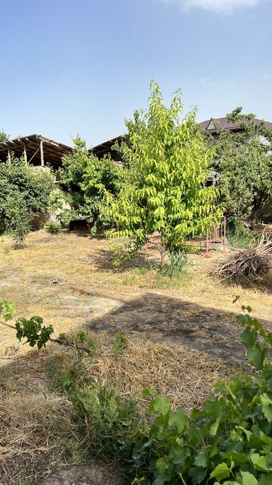 Участок сотилади 6 соток