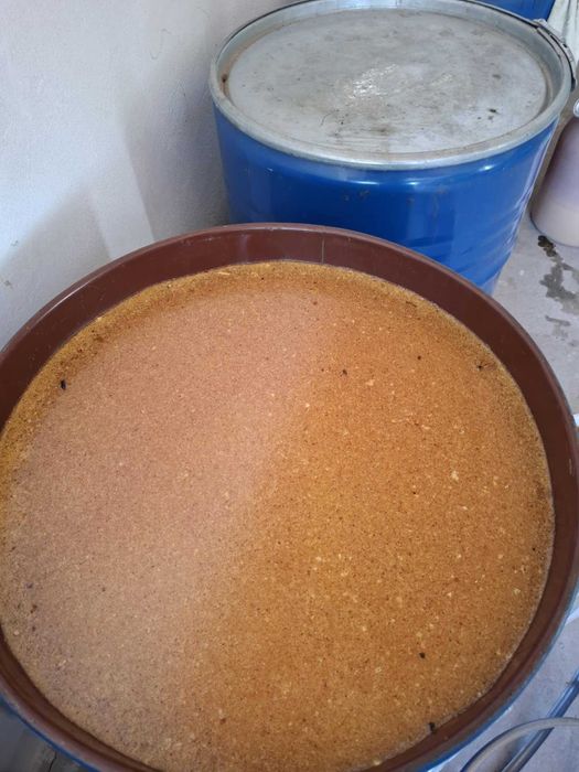 vand miere de albine de floarea soarelui.