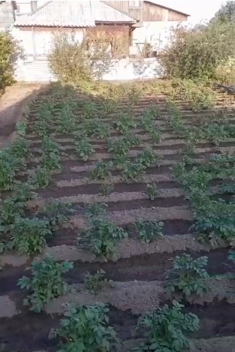 Продам дачу на Мирном