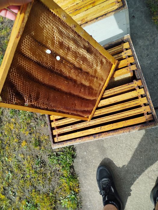 Rame stupi 1/1 clădite