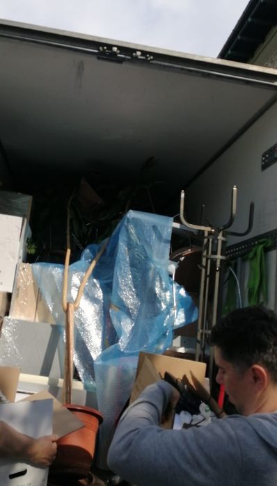 Mutări, Debarasări, Relocari