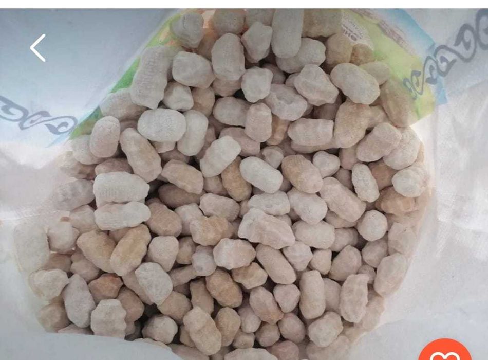 Продаю домашний ручной курт!!!