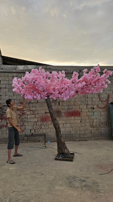 Сакура дарахлар йасаб берамиз