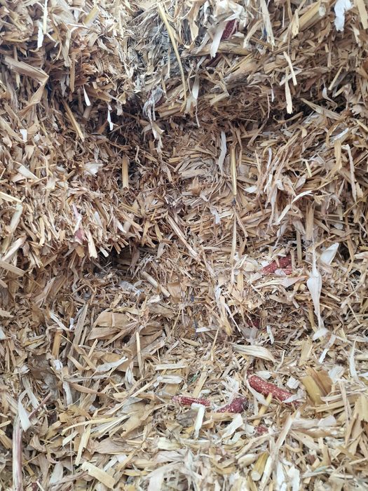 Vând baloti cocenii