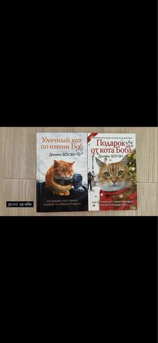 Книги Джеймс Боуэн