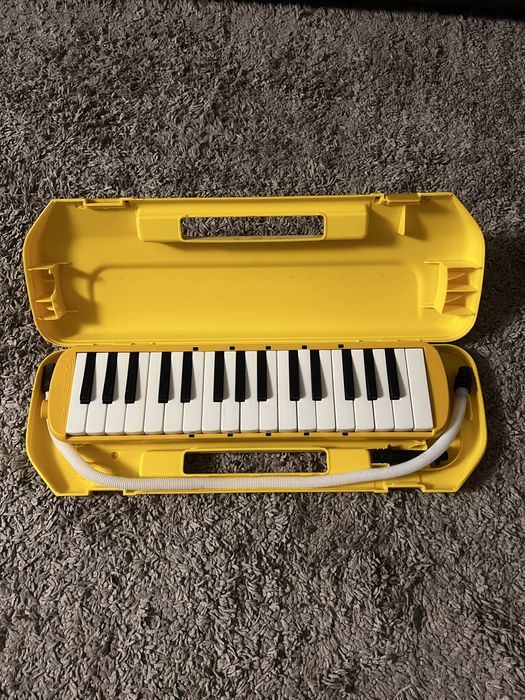 Vand  clapa floasneta (acordeon hohner)