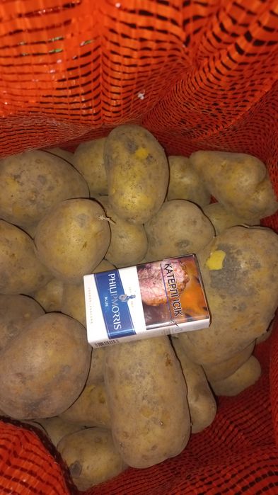 Продам картофель