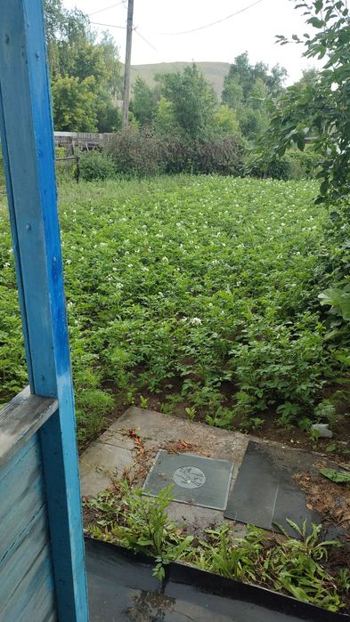 Дача СПП под телевышкой