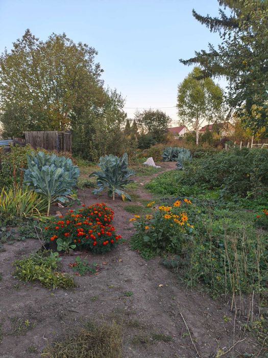 Частный дом Алтай (Зыряновск)