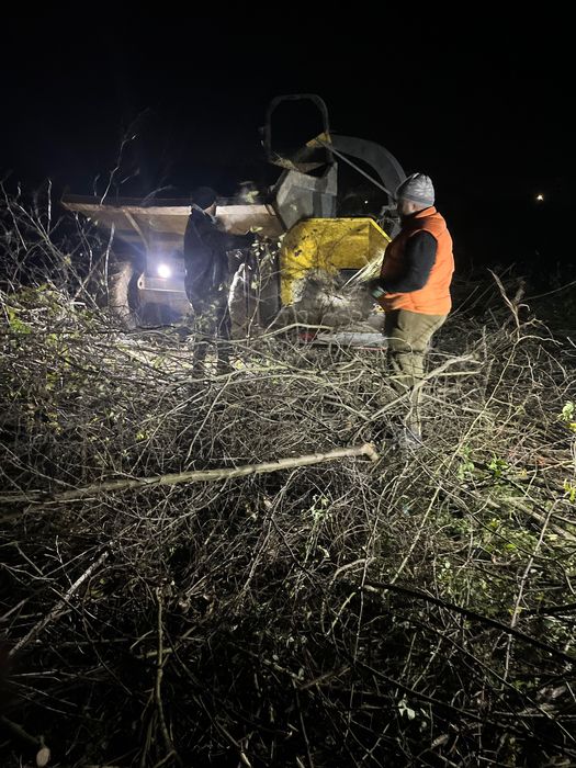 Lucrari de Defrisare,Desfintare livezi,Curatare terenuri,gradini,curti