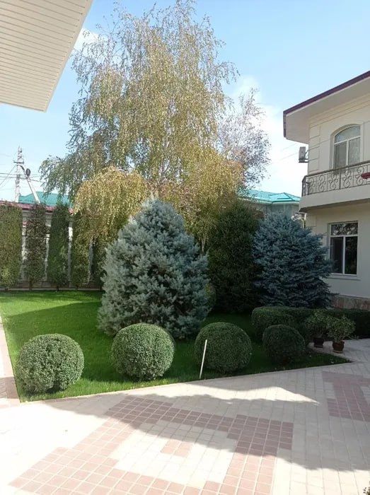 Аренда дома, Амира Темура махалля ( н374 )