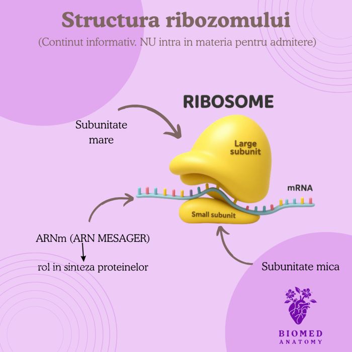 Meditatii Biologie Admitere Medicina (Barron’s + Corint)