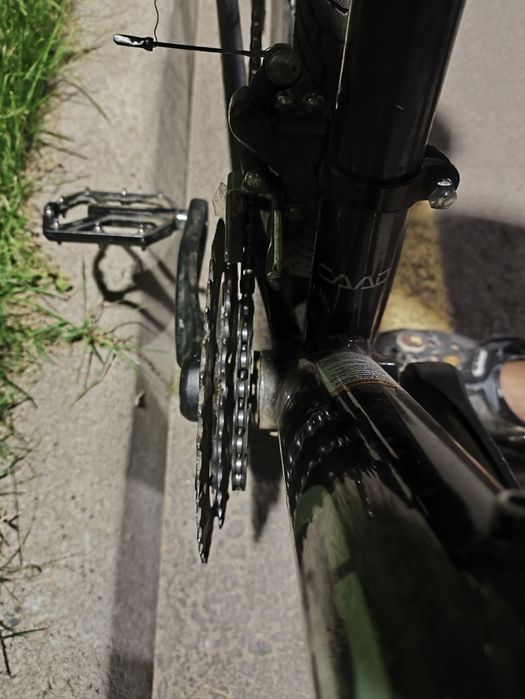 Cannondale catalyst