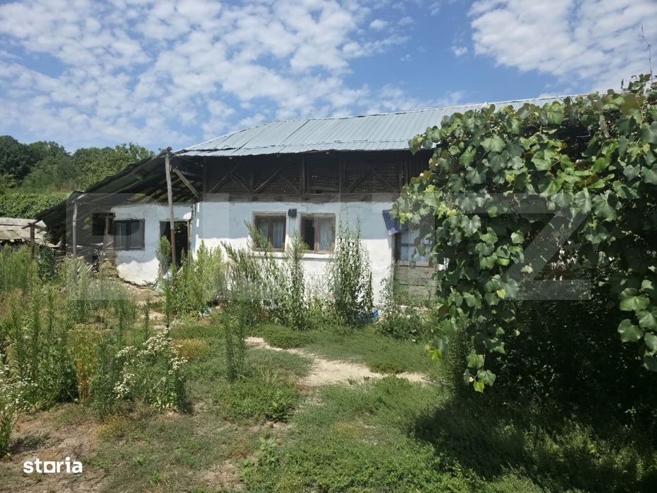 Teren 1.595 mp, constructii existente – Comuna Cobia,