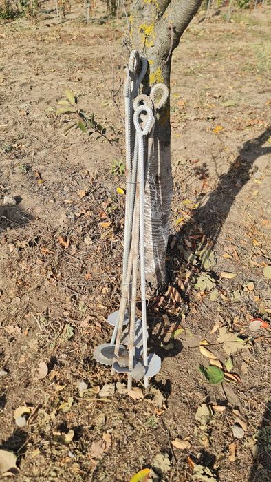 Tutori zincați profil U la 110 cm, pentru viță de vie, plus accesorii.