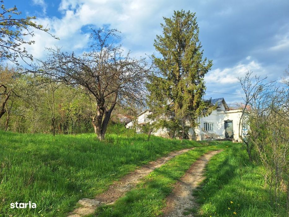 Mosia boiereasca din varf de deal, Scorteni - Prahova, comision 0%