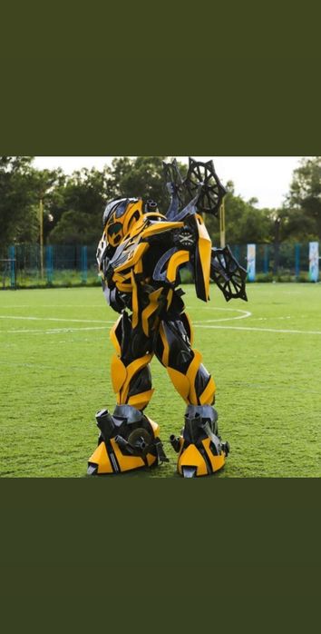 Аниматоры и шоу программы