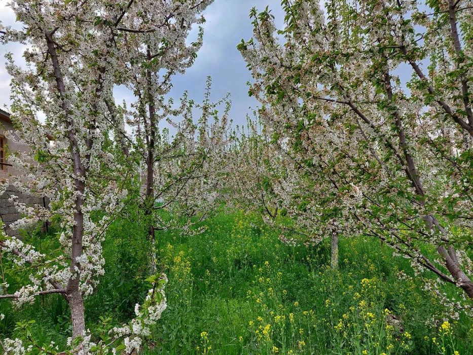 Продается дом в Юкори Чирчикском районе, 16 сотых