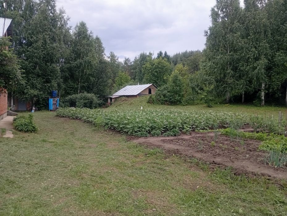 Дача с пасекой (за Тарханкой)