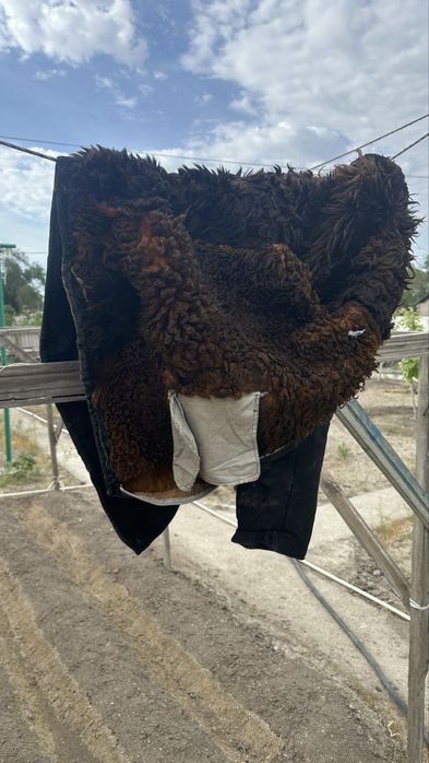 Продаю натуральный пальто (тон)