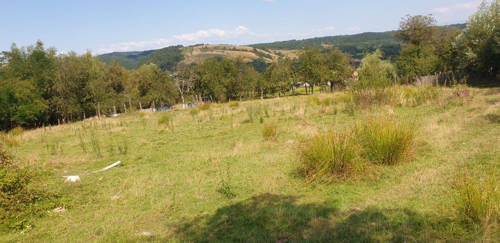 VAND/SCHIMB teren intravilan in com. Ezeris, Jud. Caras-Severin