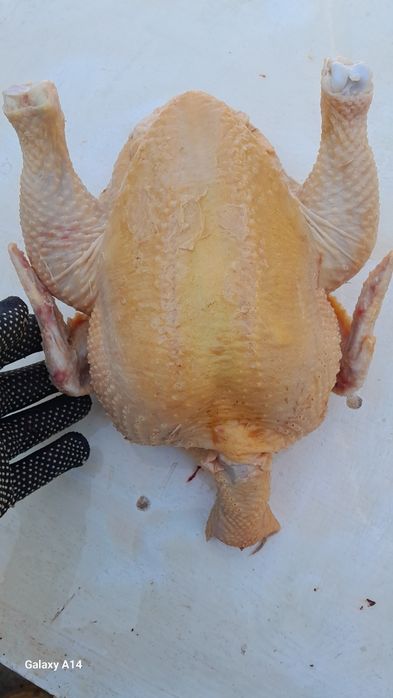 Мясо домашнего бройлера