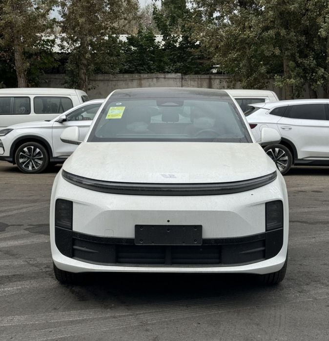 Lixiang Li 6 pro restayling cip