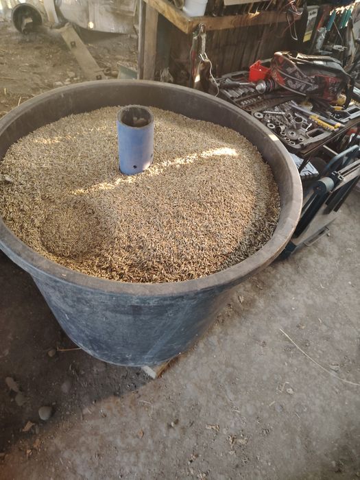 Vand ovăz calitate f bună