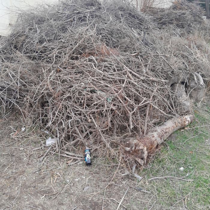 Курик утинлар сотилади