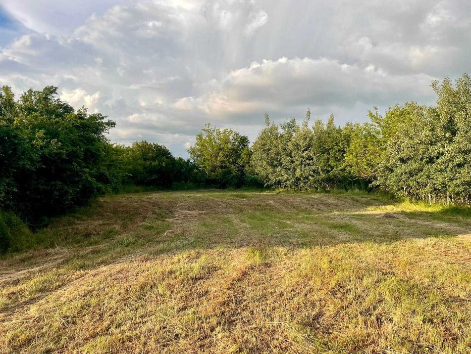 Teren intravilan 7.000 mp (5.500 mp + 1.500 mp bonus) – zonă deosebită, Mischii