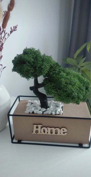Bonsai din licheni