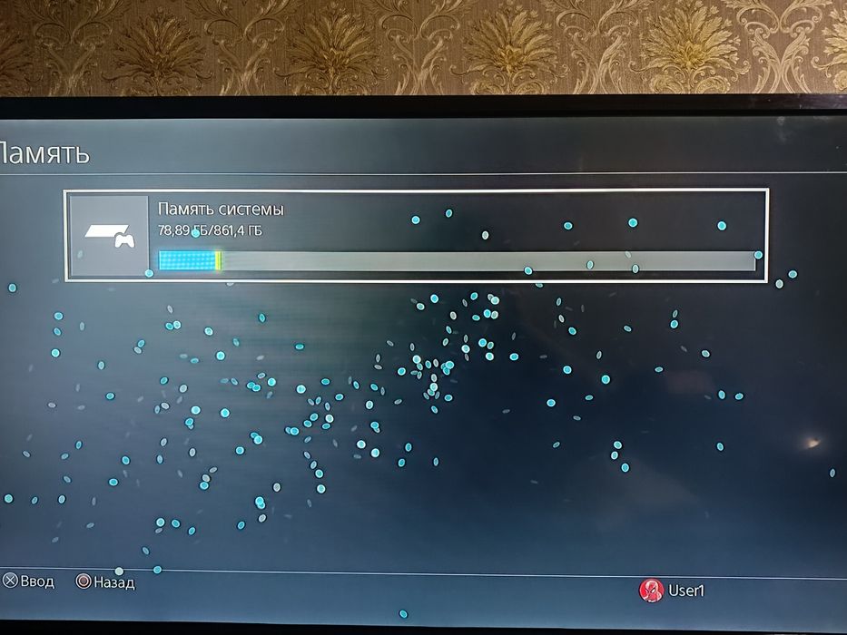 PlayStation 4, 1 терабайт.