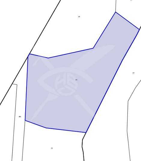 Парцел в село Синьо Камене 40293