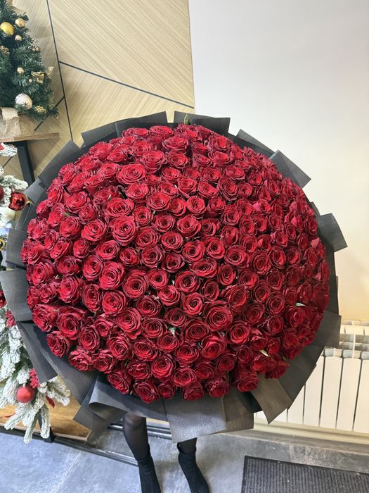 101 роза 201 роза