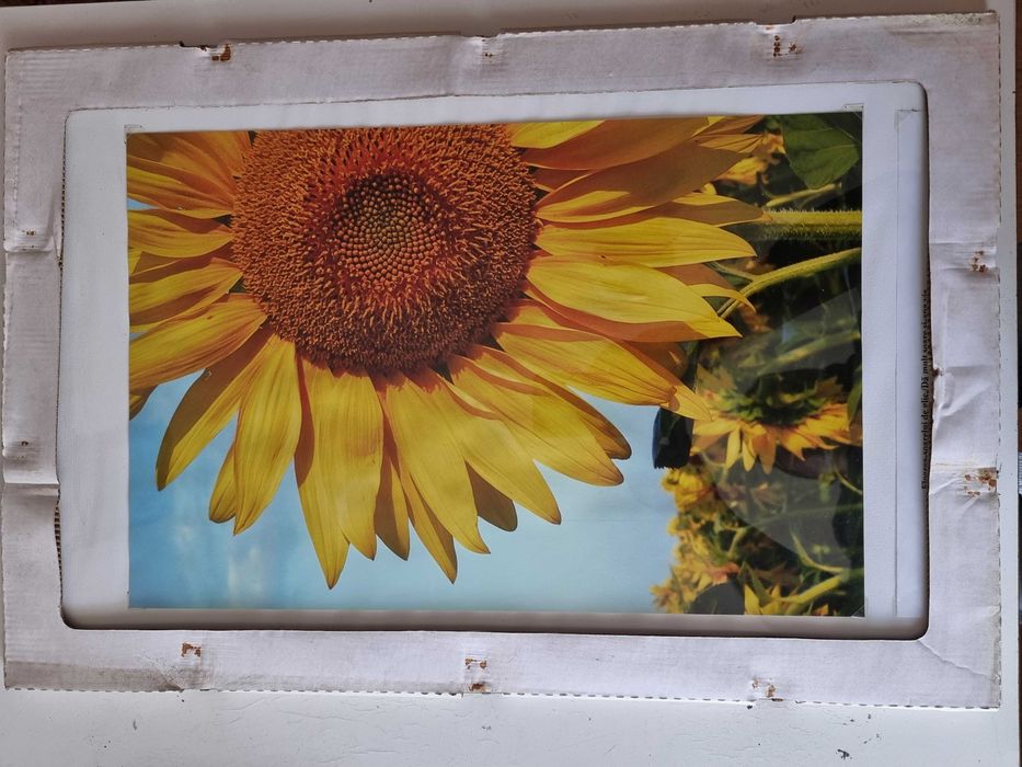 Suport profesional de fotografii pentru expoziție