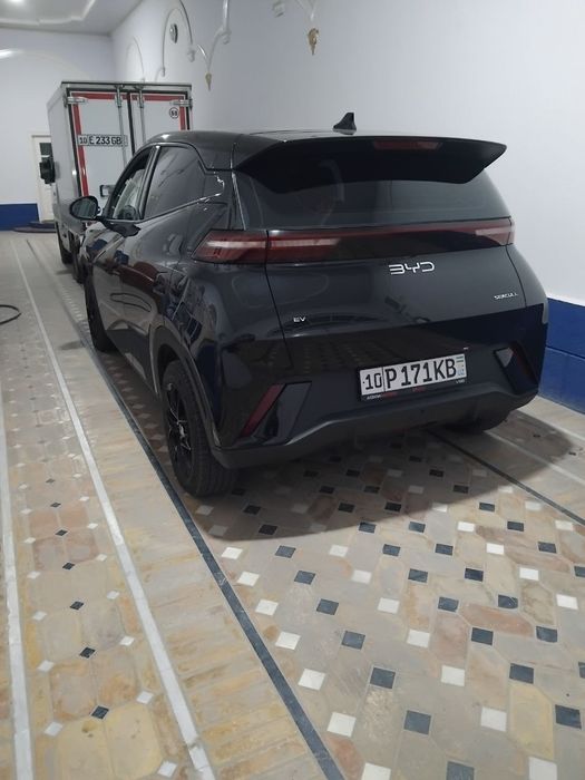 BYD seagull kraskasi yoq
