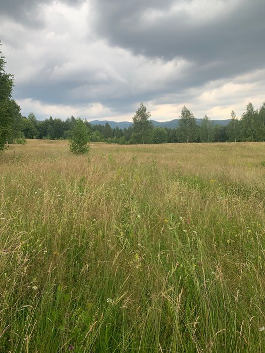Vânzare teren intravilan 9200 mp