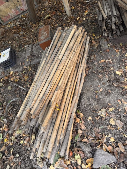 Продам бамбук сухой