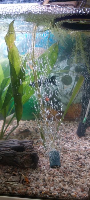 Vind Pompa Aer Acvariu Resun Ac9600 Noua