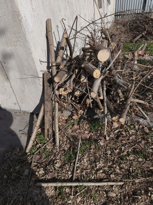 Продам на дрова. 10тенге